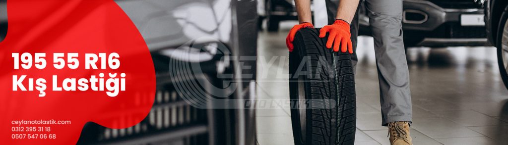 195 55 R16 Kış Lastiği