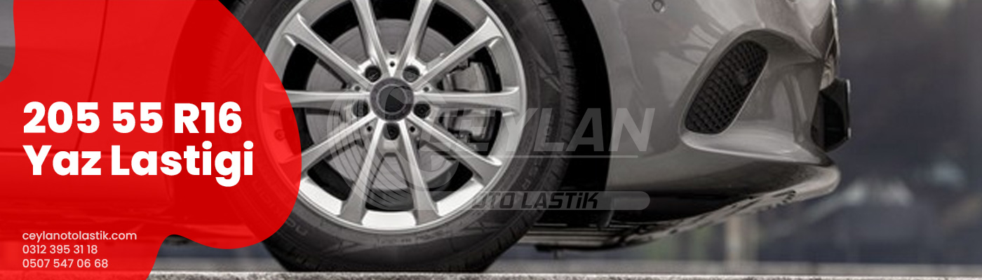 205 55 R16 Yaz Lastigi